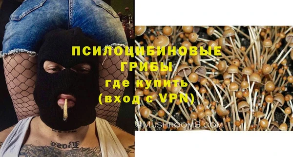 амф Абдулино