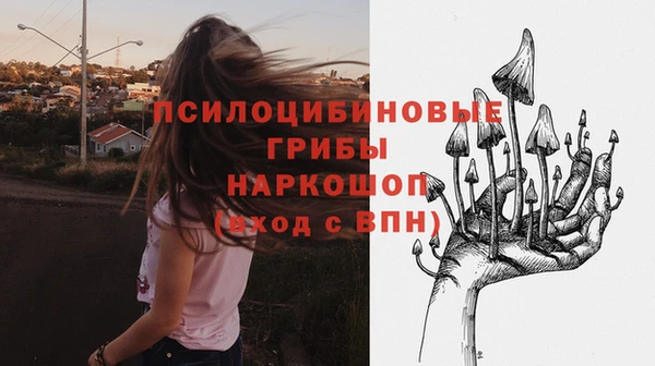 амф Абдулино