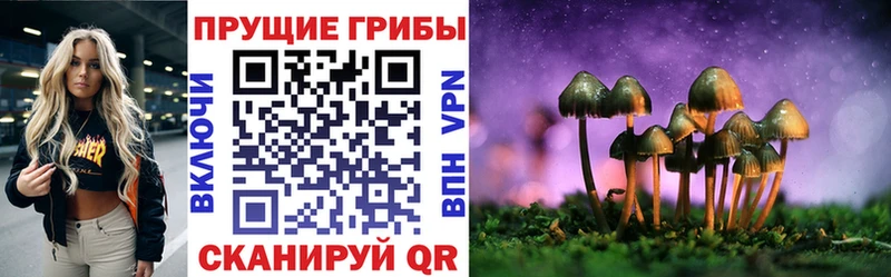 Галлюциногенные грибы GOLDEN TEACHER  наркота  Ялта 