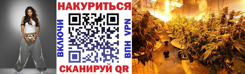 Марихуана конопля  Ялта 
